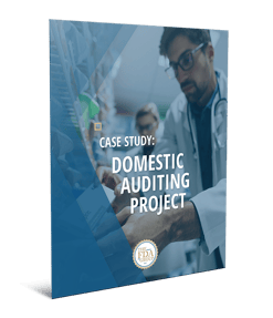 Domestic Auditing Project