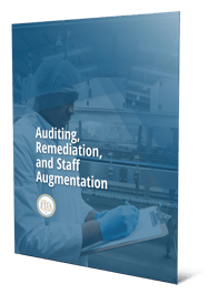 Auditing, Remediation, and Staff Augmentation
